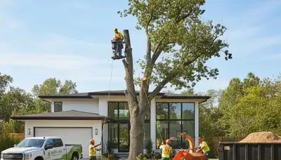 Professional landscaping and tree removal in Oklahoma City, OK by Chop Chop Tree experts