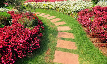 Landscaping in Oklahoma City STATE% Landscaping Services in  Oklahoma City STATE% Landscapers in  Oklahoma City STATE% 